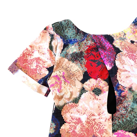 Anthropologie Ranna Gill Fanned Vignette Embroidered Shift Dress Size 10 EUC - Picture 6 of 9